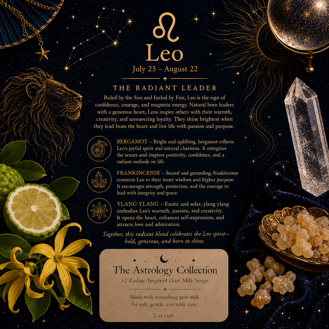 The Astrology Collection